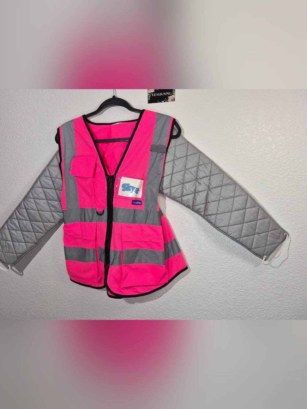 Paw Patrol SKYE Womens Halloween Costume For Sale - Picture 2 of 10